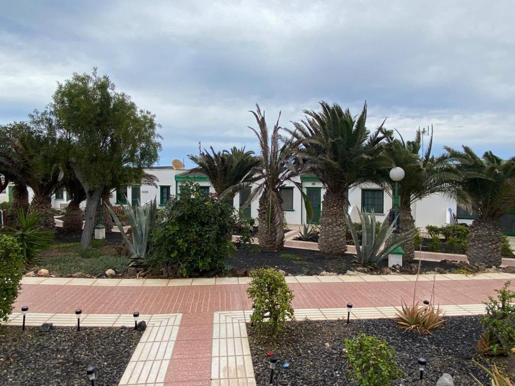 Casa Sandra Cocosol Costa De Antigua Exterior foto